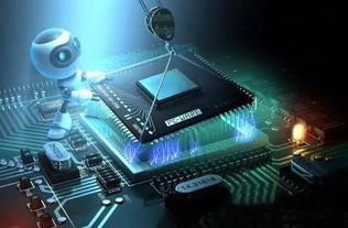 好大學與好專業 網絡科技領域如何明智選擇，拒絕盲目跟風